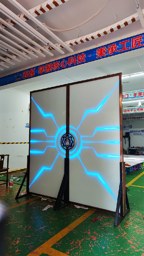 电子掌纹门