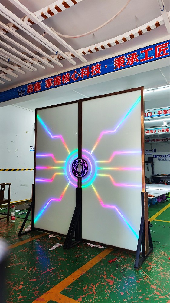 炫酷掌纹门