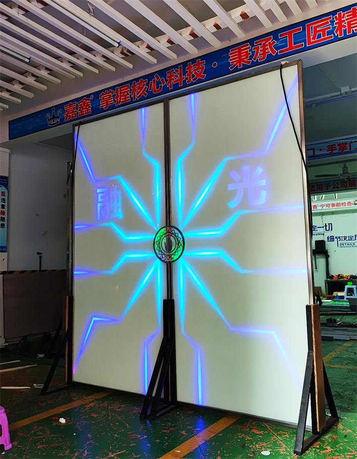 科技网红门定制