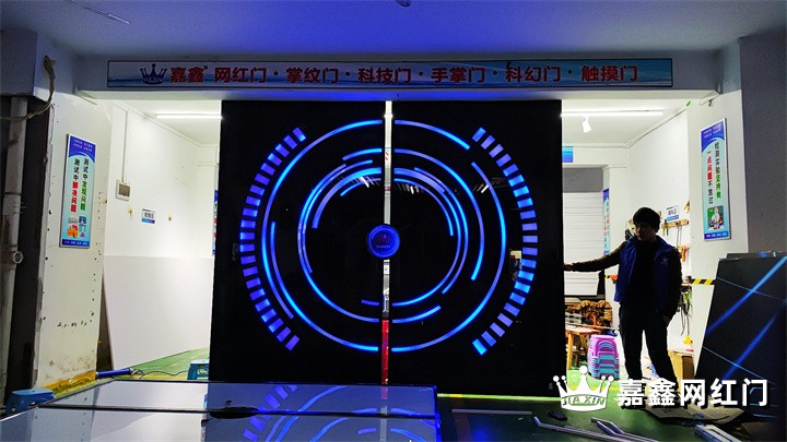 双面掌纹科技门