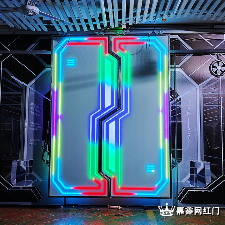 网红门厂家定制 掌纹科技门